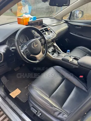 Lexus NX 300 AWD 2020 Gris