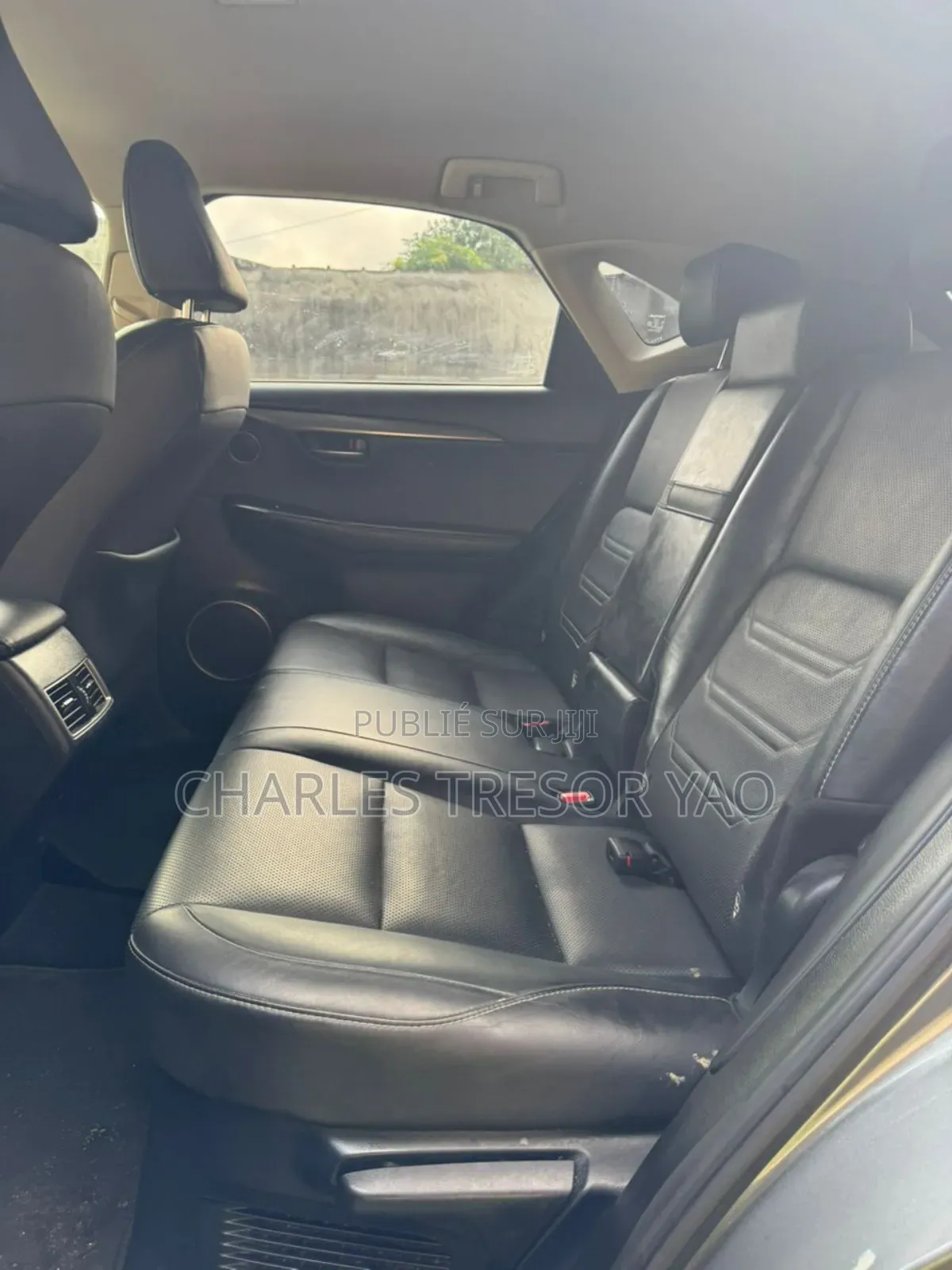 Lexus NX 300 AWD 2020 Gris