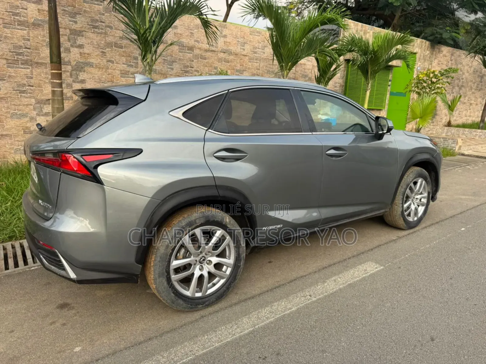 Lexus NX 300 AWD 2020 Gris