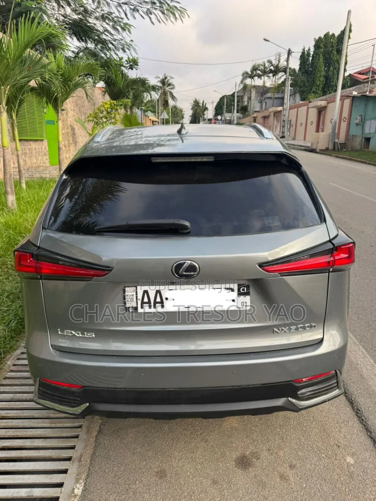 Lexus NX 300 AWD 2020 Gris