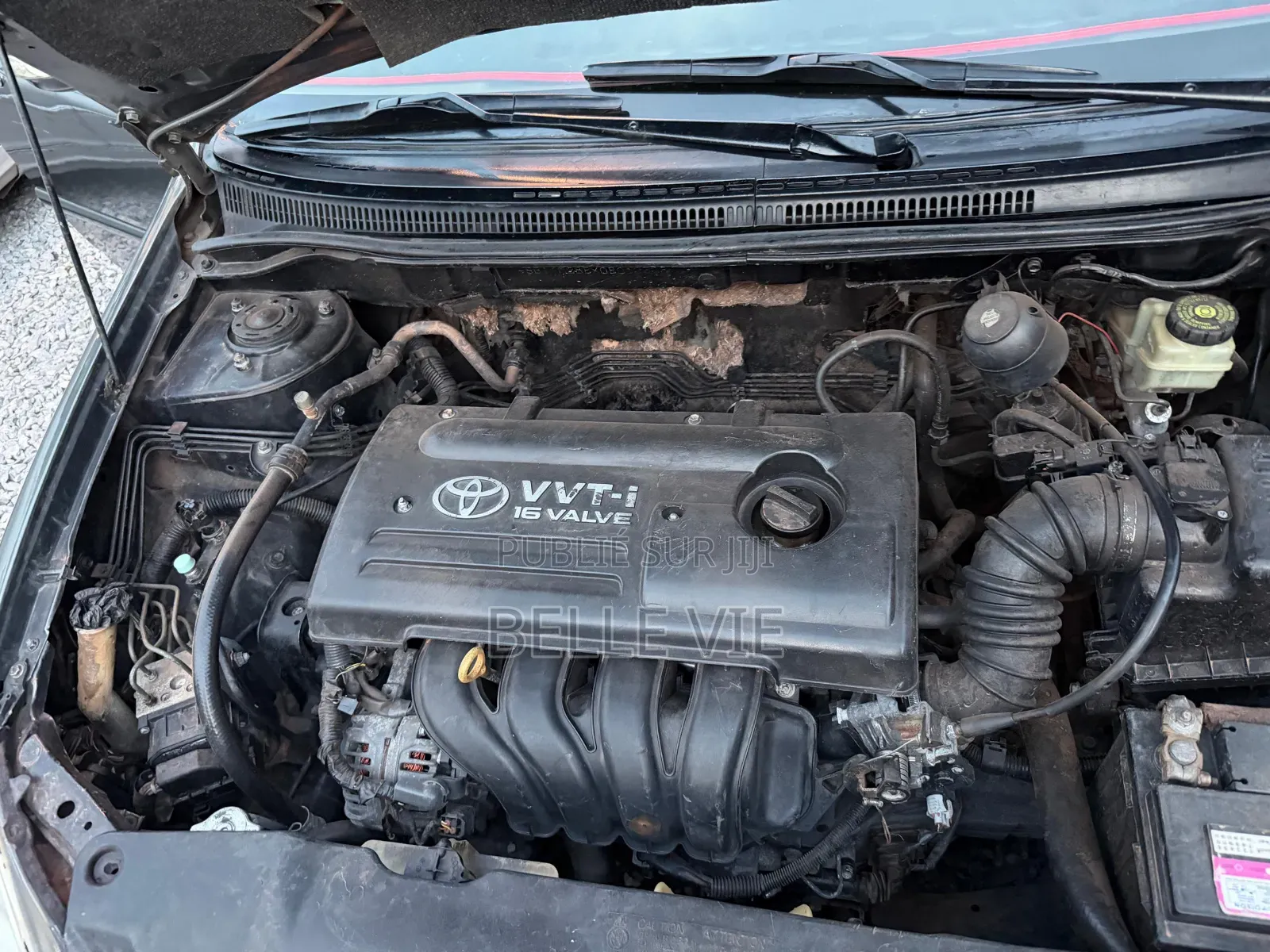 Toyota Corolla 2006 Beige