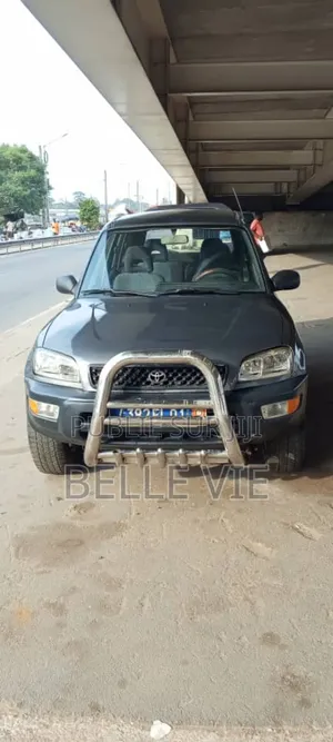 Toyota RAV4 2004 Bleu