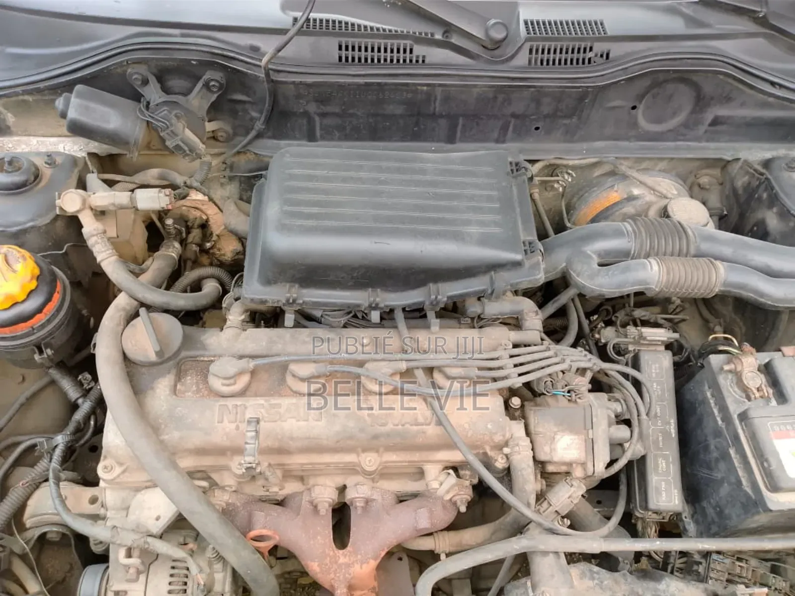 Nissan Micra 2003 Vert