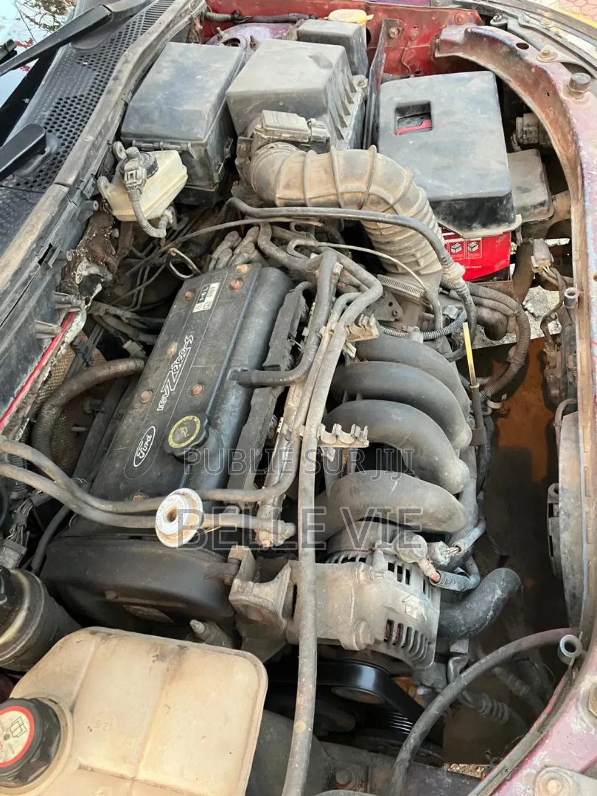 Ford Focus 2004 Rouge