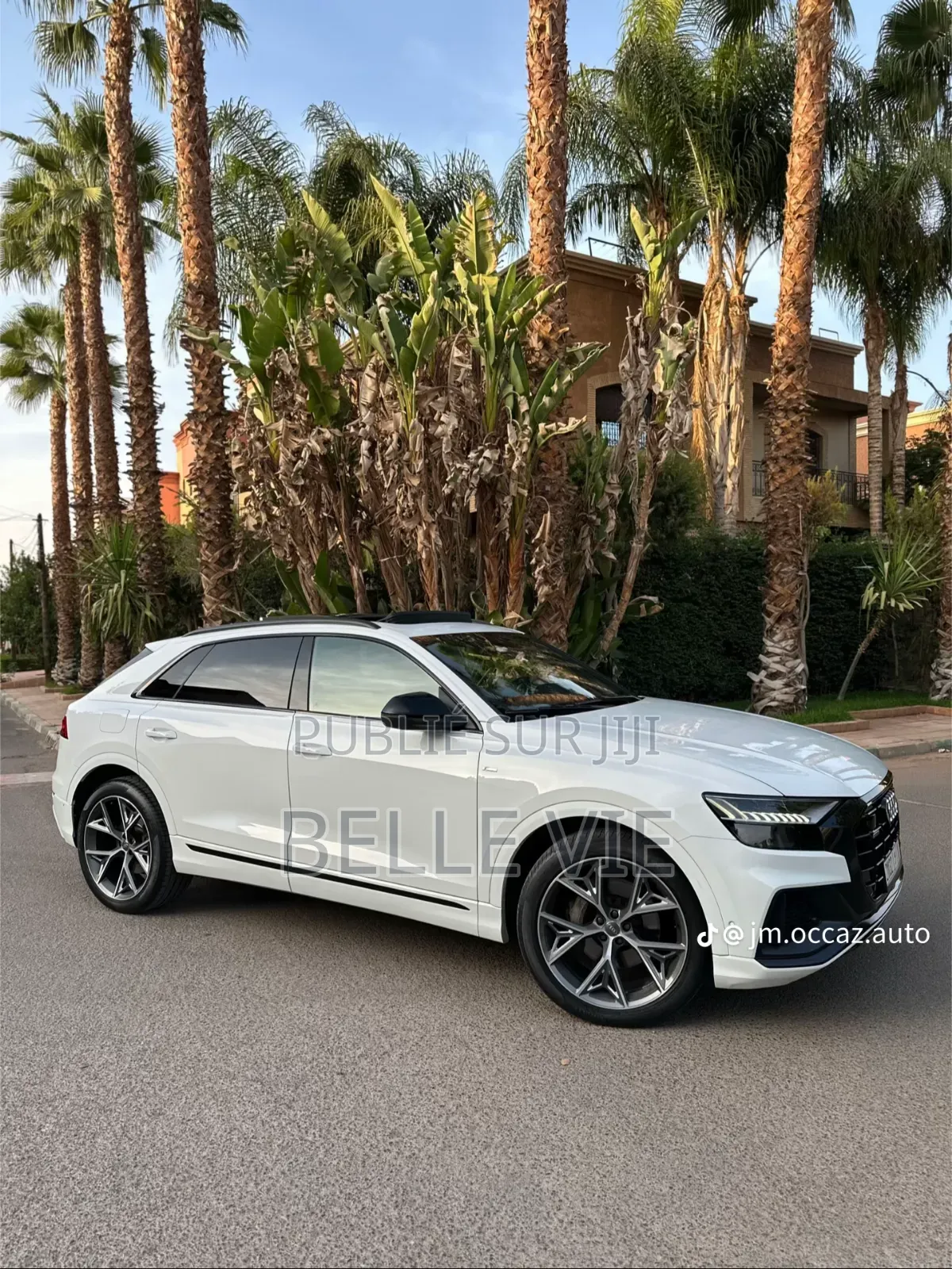 Audi Q8 55 Premium AWD quattro 2020 Blanc