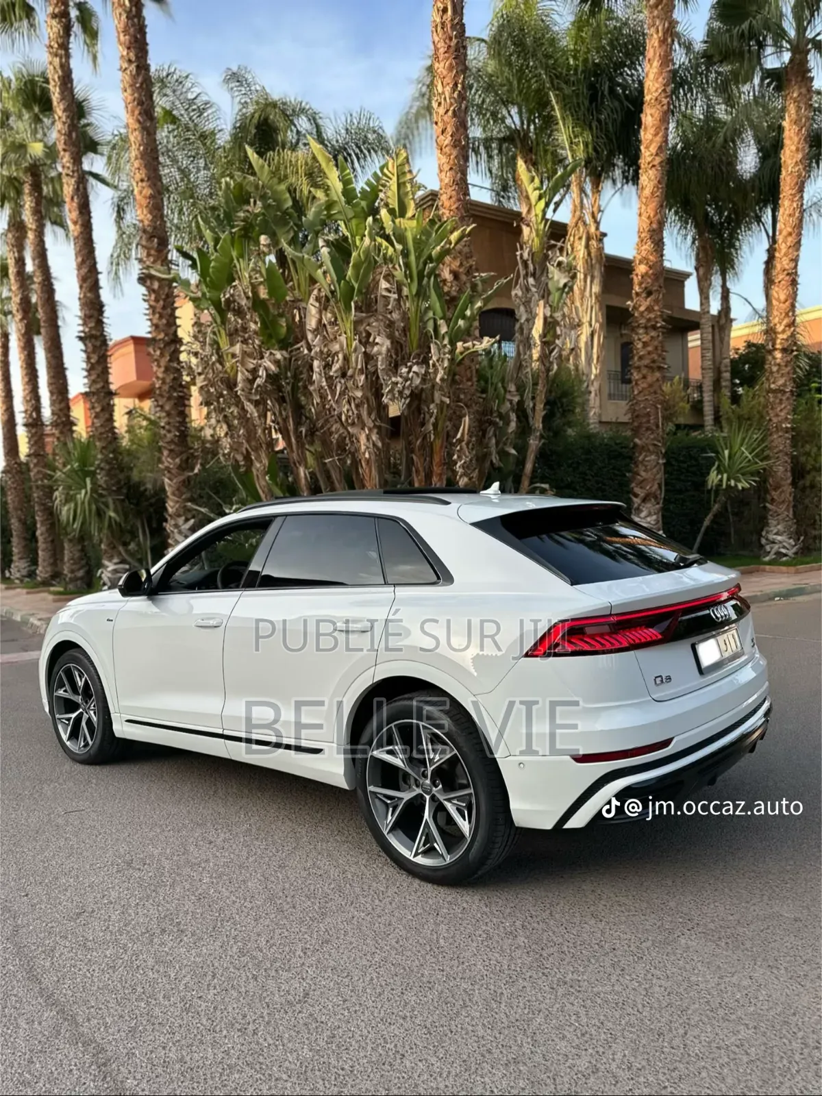 Audi Q8 55 Premium AWD quattro 2020 Blanc