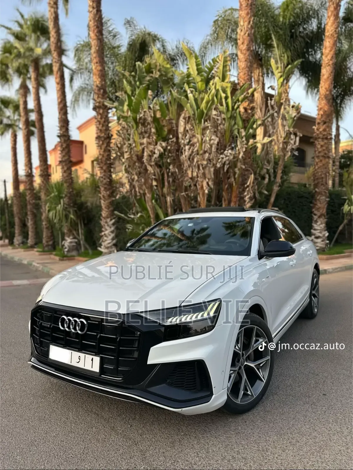 Audi Q8 55 Premium AWD quattro 2020 Blanc
