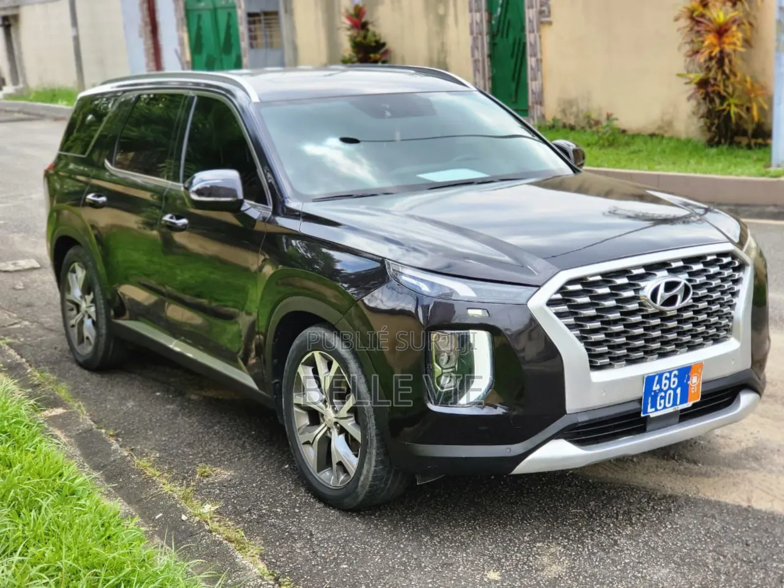 Hyundai Palissade 2023 Black