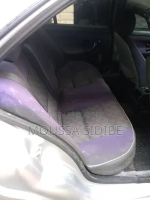 Peugeot 406 Coupe 2001 Gris