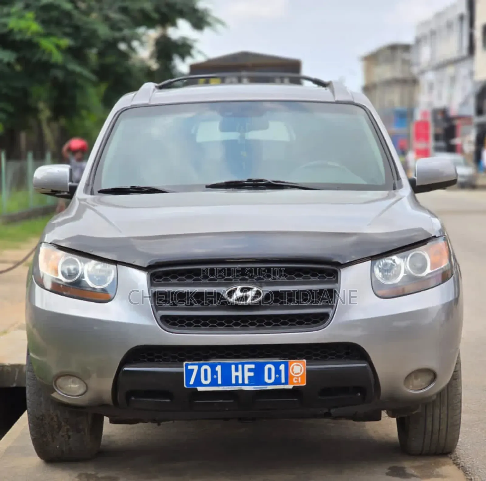 Hyundai Santa Fe 2007 Gris