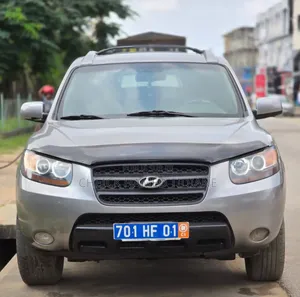 Hyundai Santa Fe 2007 Gris