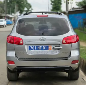 Hyundai Santa Fe 2007 Gris