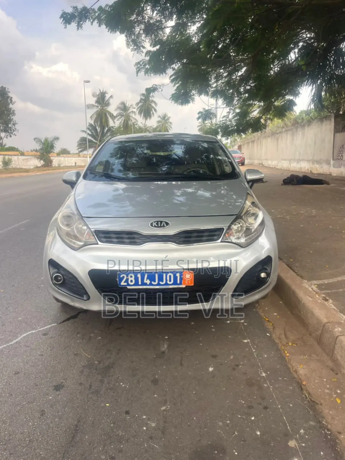 Kia Rio 2014 Beige