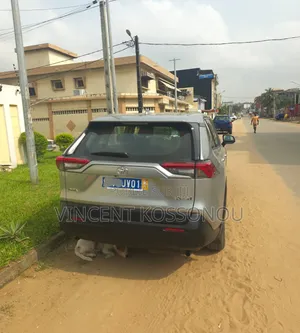 Toyota RAV4 2020 Gris