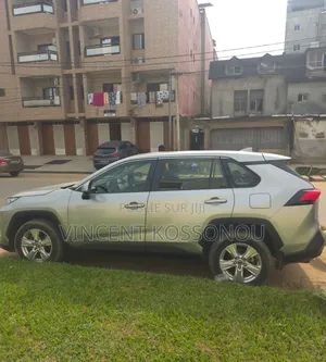 Toyota RAV4 2020 Gris