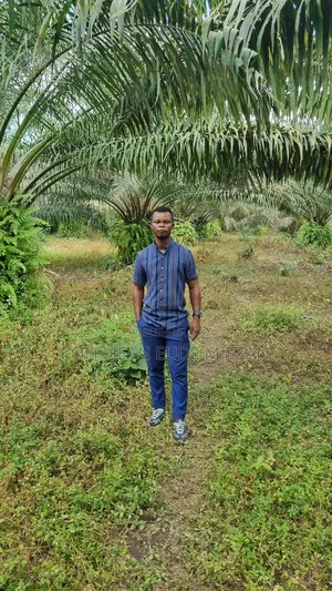 Recherche d'Investisseurs De Projets