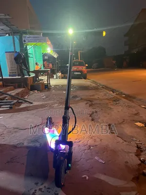 Trottinette Électrique