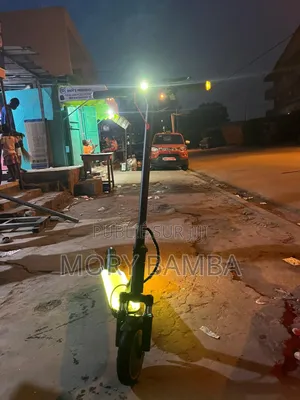 Trottinette Électrique