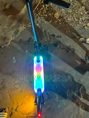 Trottinette Électrique