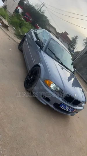 BMW 3 Series 316i RWD 2004 Gris