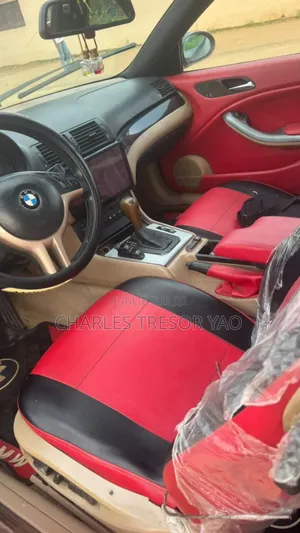 BMW 3 Series 316i RWD 2004 Gris