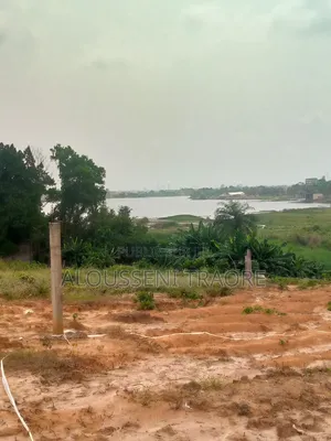 Terrain À Vendre À Cocody Riviera M'badon