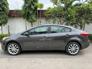 Kia Forte 2016 Gris