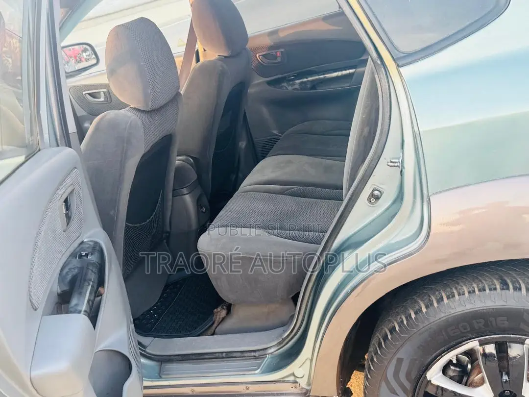 Hyundai Tucson 2007 Bleu