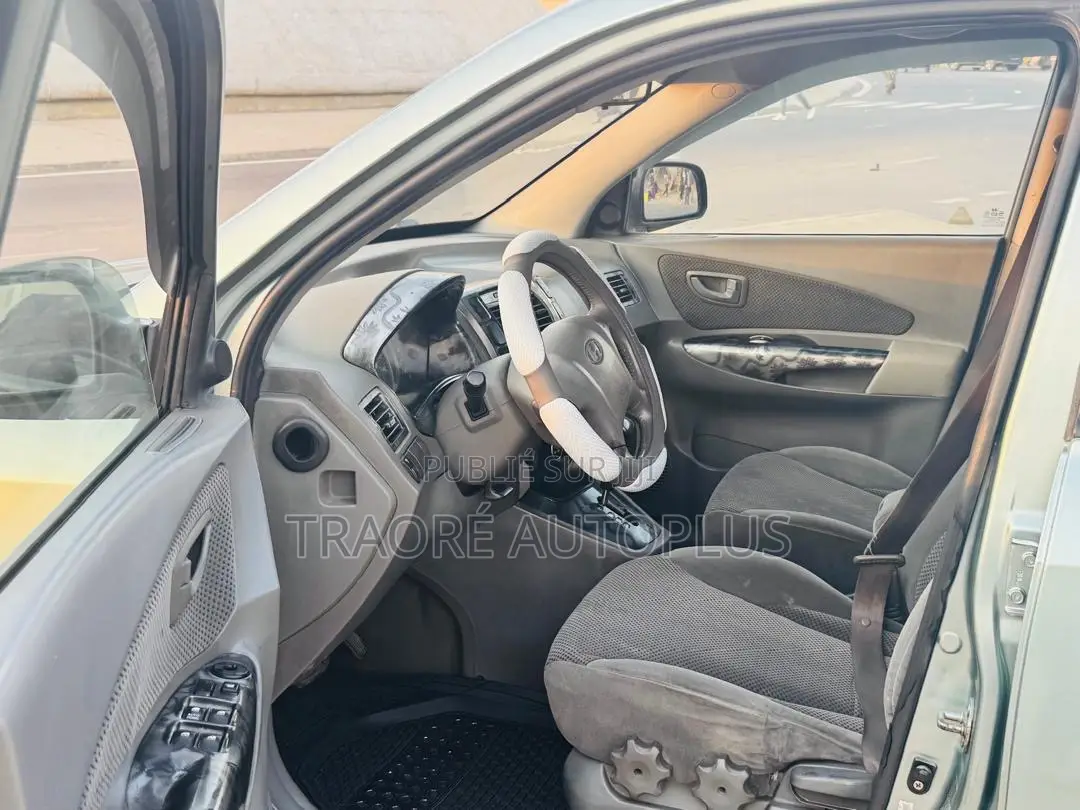 Hyundai Tucson 2007 Bleu