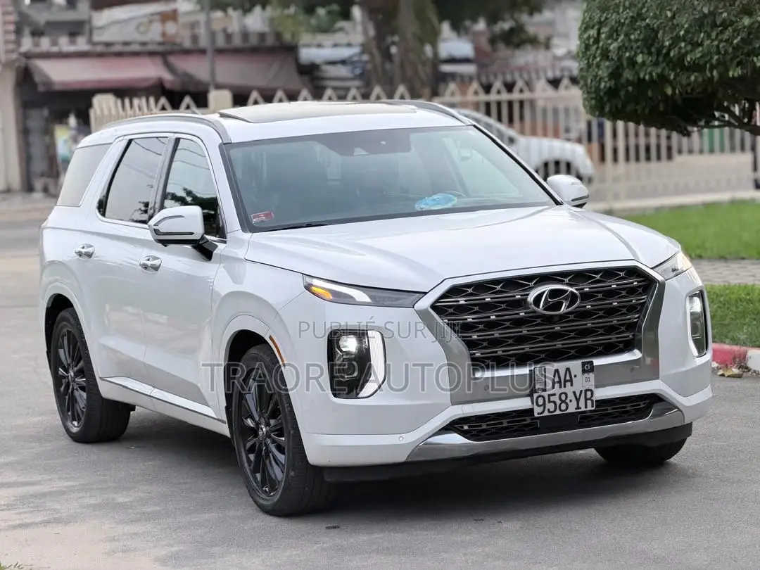 Hyundai Palissade 2021 Blanc
