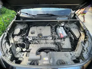 Toyota RAV4 LE AWD 2020 Black