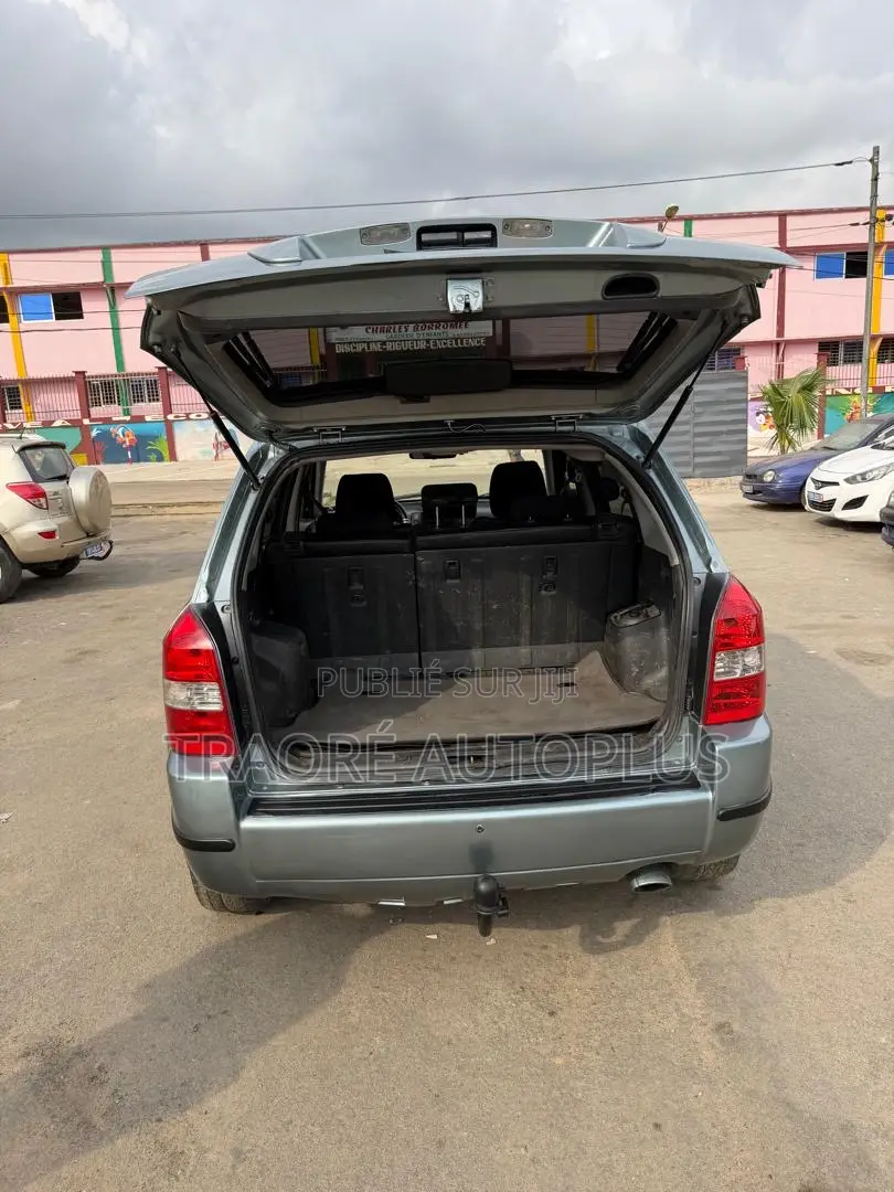 Hyundai Tucson 2006 Bleu
