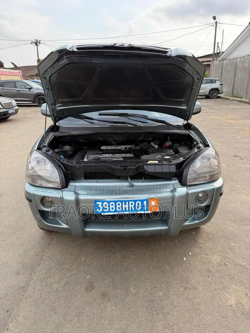 Hyundai Tucson 2006 Bleu