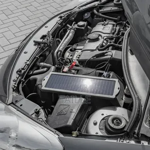 Mainteneur De Batterie Solaire