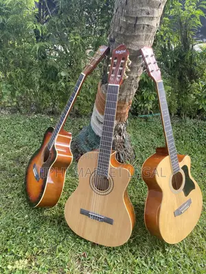 Guiatre Branchable Et Non Branchable