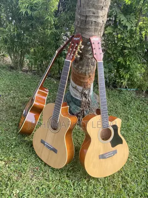 Guiatre Branchable Et Non Branchable