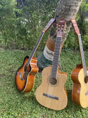 Guiatre Branchable Et Non Branchable