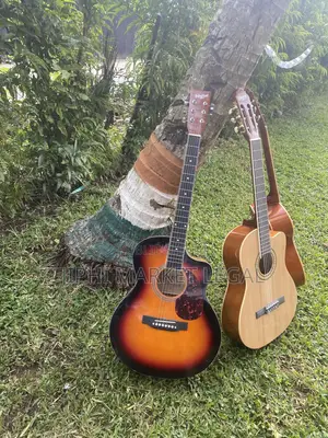 Guiatre Branchable Et Non Branchable