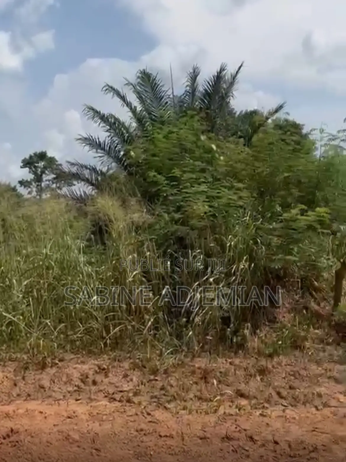 Terrain À Vendre À N’Douci