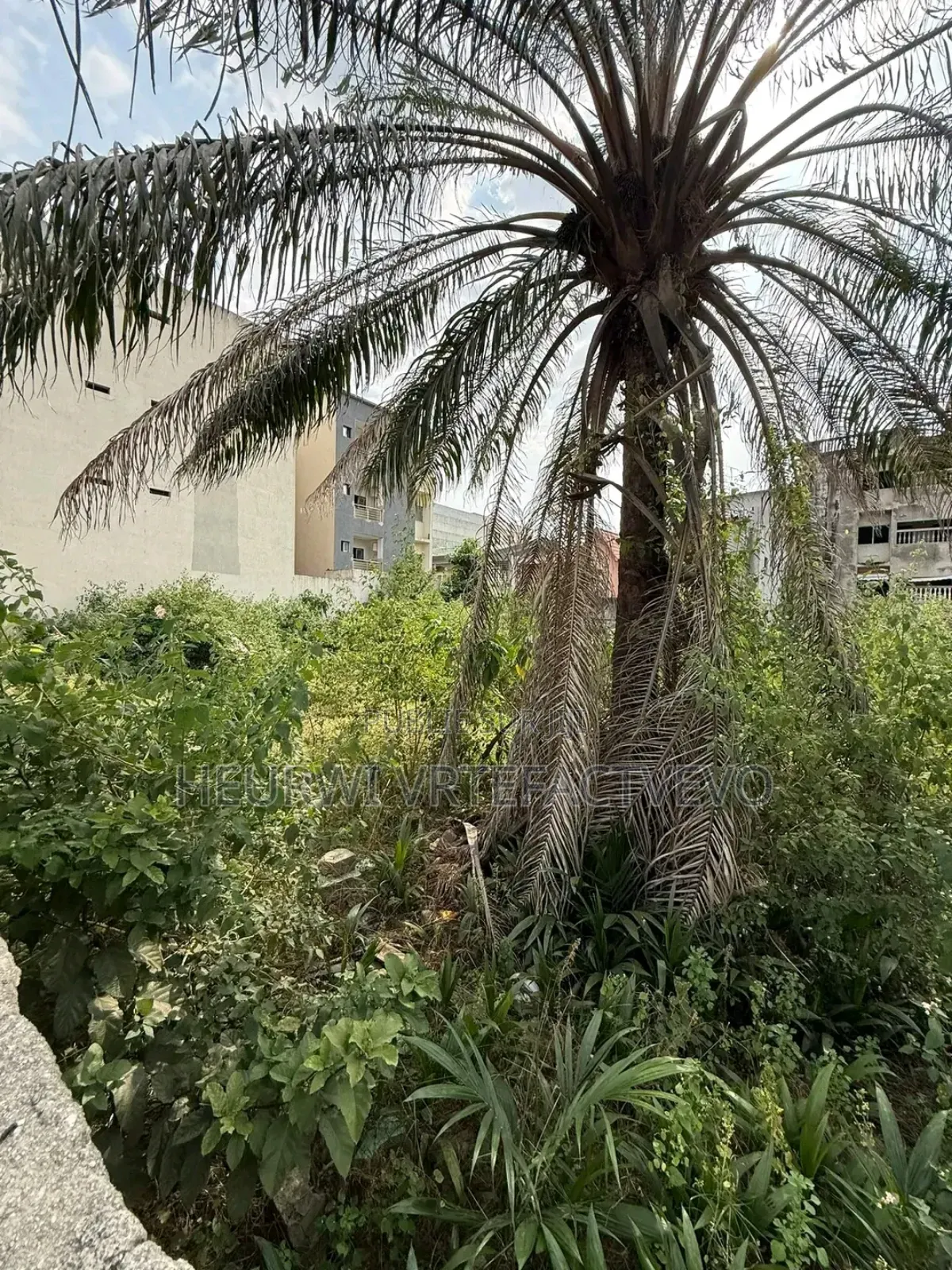 Terrain De 850 M2 en Vente À Cocody Rivera Faya