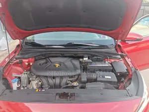 Hyundai Elantra 2020 Rouge