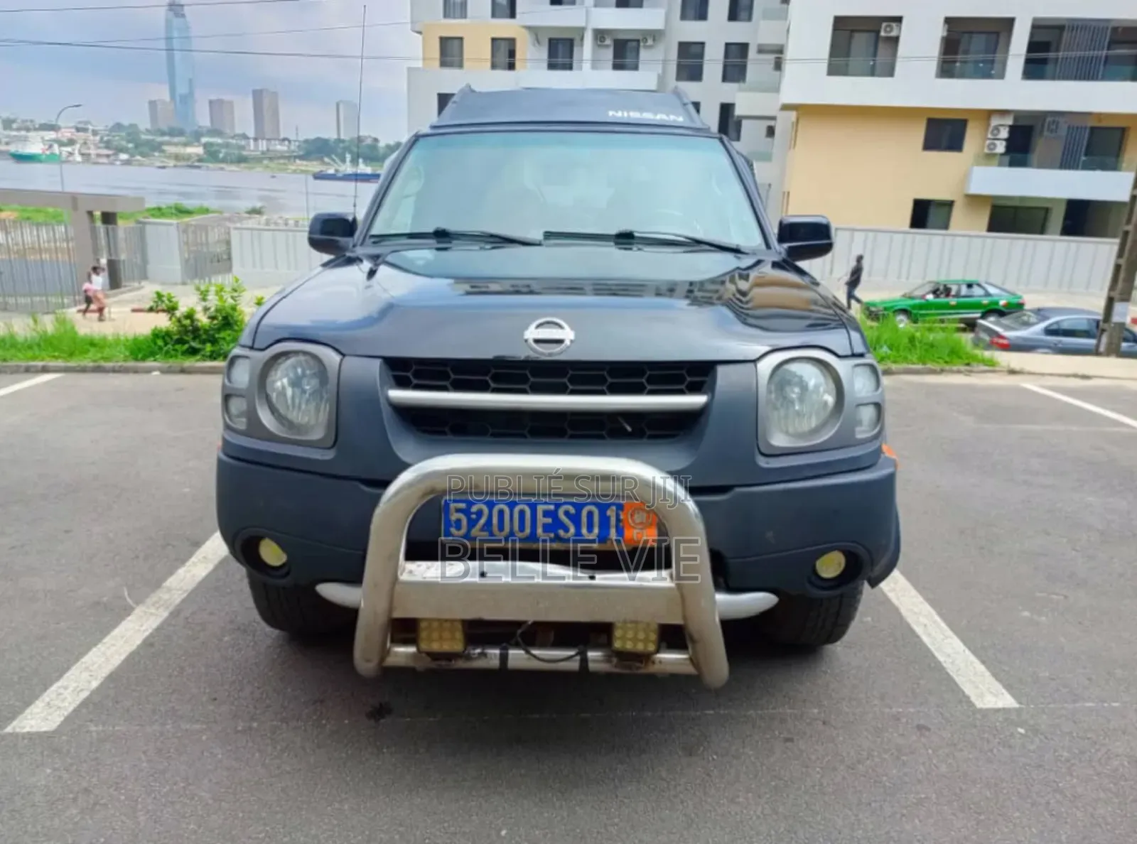 Nissan Pathfinder 2003 Bleu