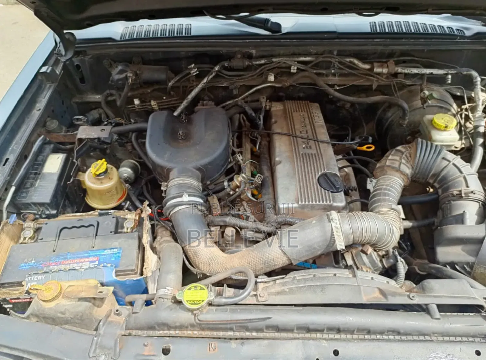 Nissan Pathfinder 2003 Bleu