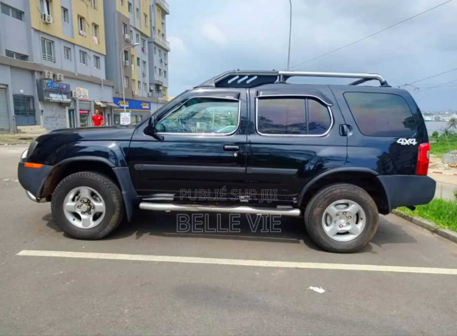 Nissan Pathfinder 2003 Bleu