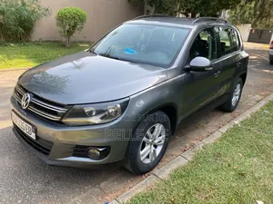 Volkswagen Tiguan 2013 Beige