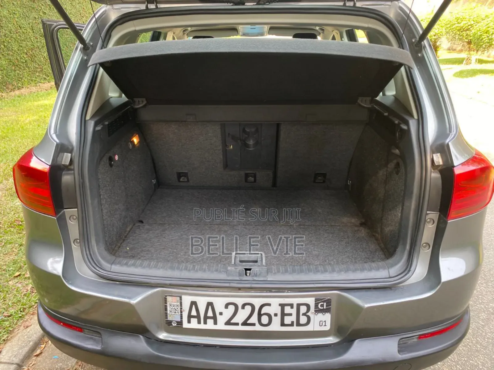 Volkswagen Tiguan 2013 Beige