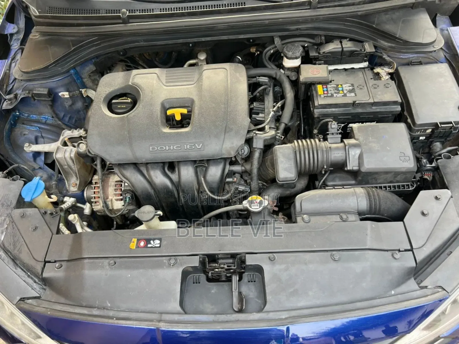 Hyundai Elantra 2020 Bleu