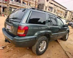 Jeep Cherokee 2008 Vert