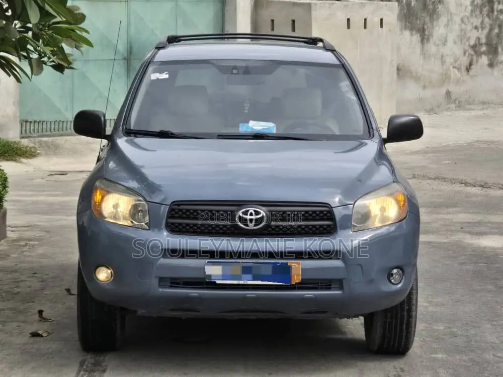 Toyota RAV4 2006 Gris