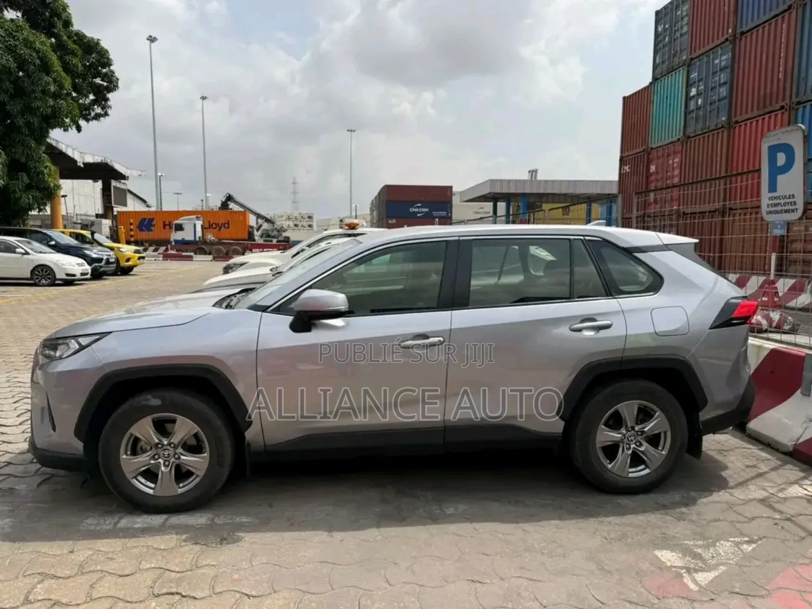 Toyota RAV4 2024 Gris